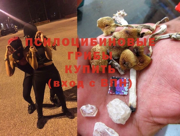 меф Горнозаводск