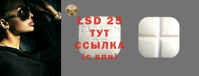 мяу мяу мука Горно-Алтайск