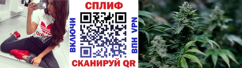 блэк спрут зеркало  Няндома  Бошки марихуана Amnesia 